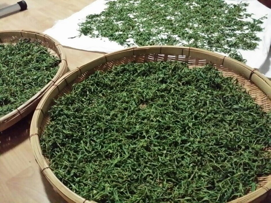 A bowl of green tea leaves beside a bowl of black tea leaves