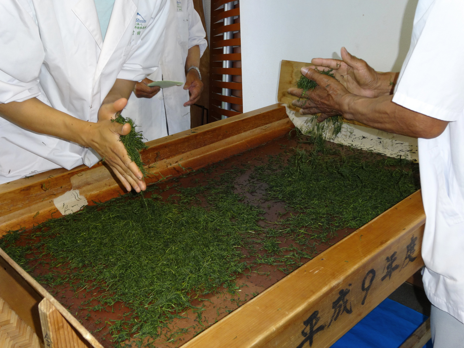 Tea leaves being hand-processed at a tea facility