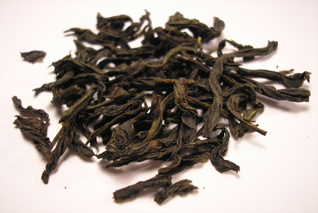 Tightly rolled oolong tea pellets unfurling in a gaiwan