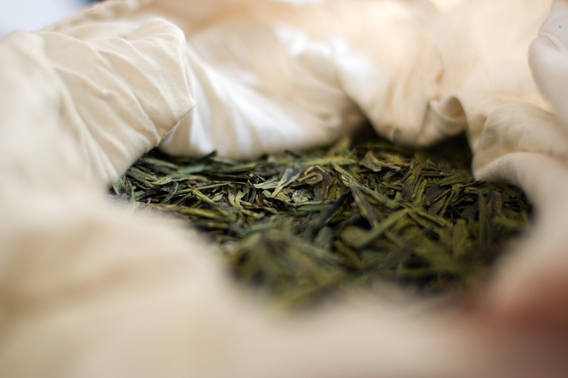 Old faded tea leaves being inspected in an open tin